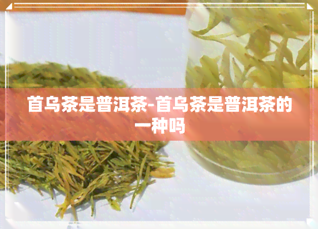 首乌茶是普洱茶-首乌茶是普洱茶的一种吗