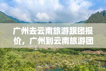 广州去云南旅游跟团报价，广州到云南旅游团报价，让您轻松规划行程！