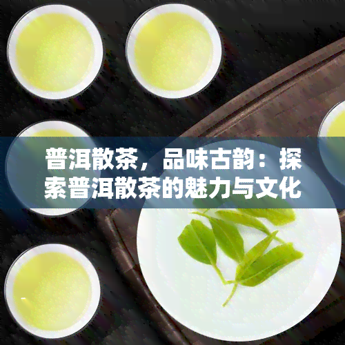 普洱散茶，品味古韵：探索普洱散茶的魅力与文化