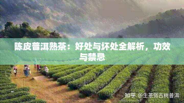 陈皮普洱熟茶：好处与坏处全解析，功效与禁忌