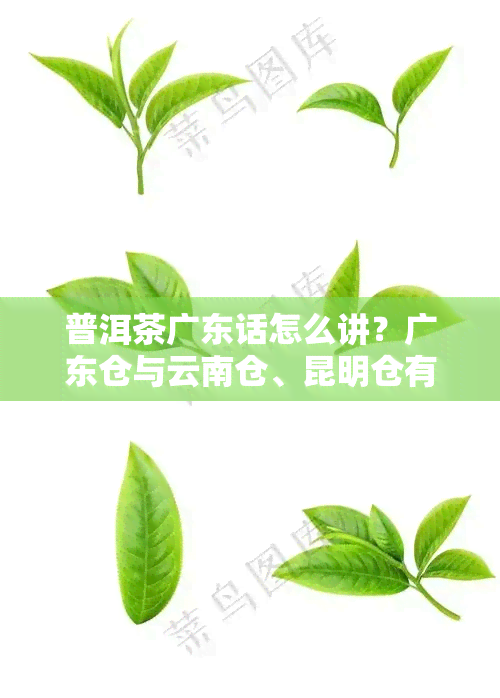 普洱茶广东话怎么讲？广东仓与云南仓、昆明仓有何区别？哪种更好？