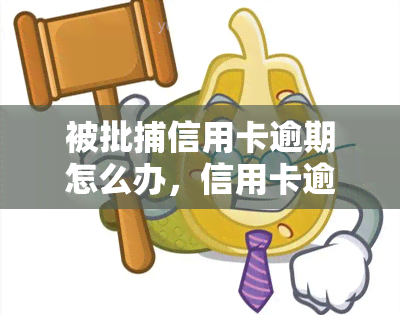 被批捕信用卡逾期怎么办，信用卡逾期被批捕后，应该采取什么措？