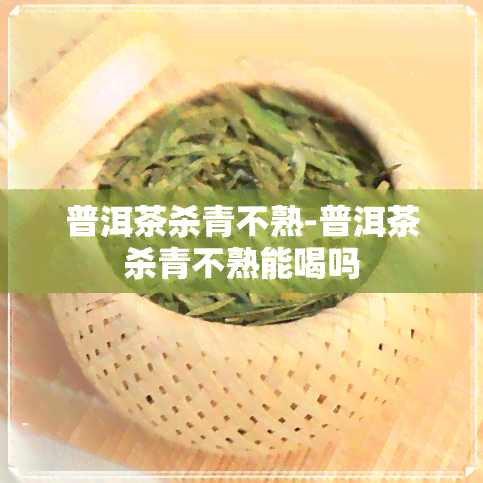 普洱茶杀青不熟-普洱茶杀青不熟能喝吗