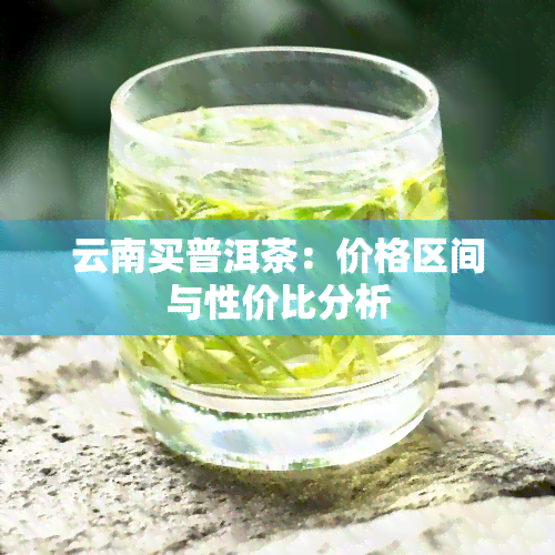 云南买普洱茶：价格区间与性价比分析