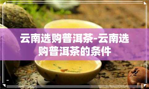 云南选购普洱茶-云南选购普洱茶的条件