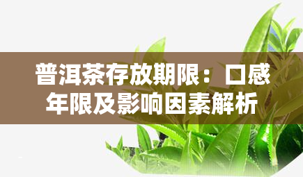 普洱茶存放期限：口感年限及影响因素解析