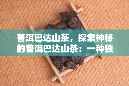 普洱巴达山茶，探索神秘的普洱巴达山茶：一种独特的茶叶体验