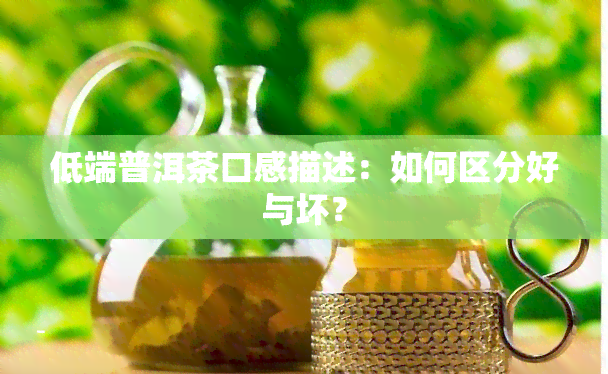 低端普洱茶口感描述：如何区分好与坏？