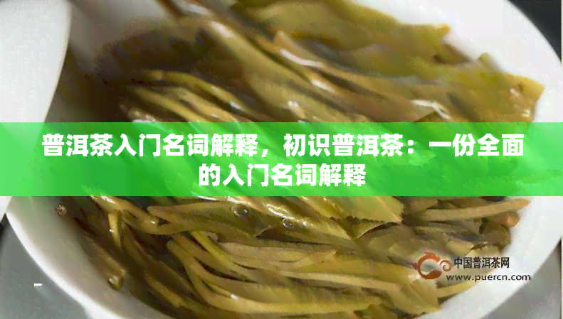 普洱茶入门名词解释，初识普洱茶：一份全面的入门名词解释