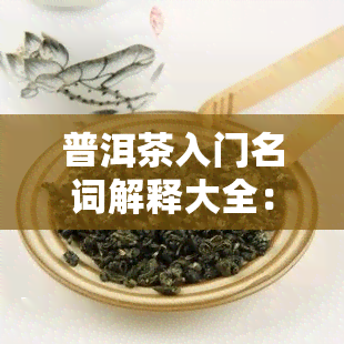 普洱茶入门名词解释大全：全面解析普洱茶的基本知识与术语