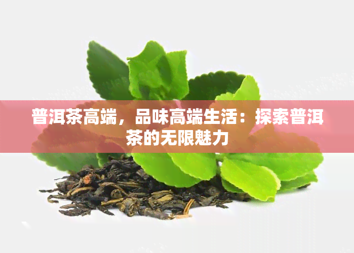 普洱茶高端，品味高端生活：探索普洱茶的无限魅力