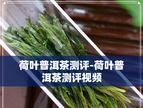 荷叶普洱茶测评-荷叶普洱茶测评视频