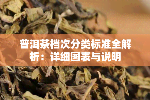 普洱茶档次分类标准全解析：详细图表与说明