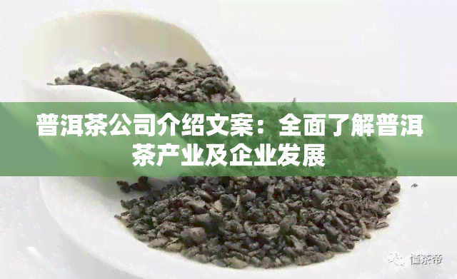 普洱茶公司介绍文案：全面了解普洱茶产业及企业发展