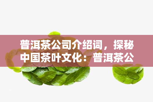 普洱茶公司介绍词，探秘中国茶叶文化：普洱茶公司的介绍与历