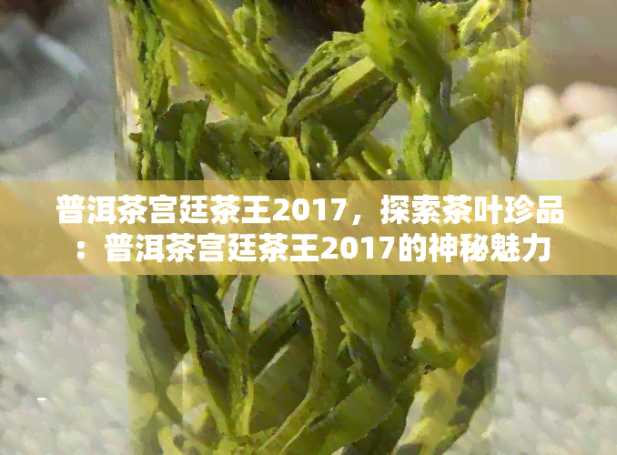 普洱茶宫廷茶王2017，探索茶叶珍品：普洱茶宫廷茶王2017的神秘魅力