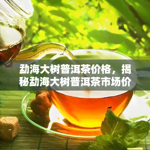 勐海大树普洱茶价格，揭秘勐海大树普洱茶市场价格，品味云南茶文化的独特魅力