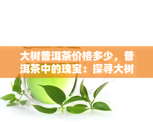 大树普洱茶价格多少，普洱茶中的瑰宝：探寻大树普洱茶的价格究竟几何？