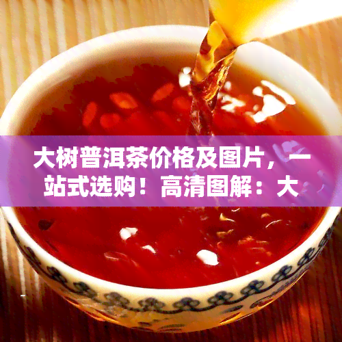 大树普洱茶价格及图片，一站式选购！高清图解：大树普洱茶价格大全