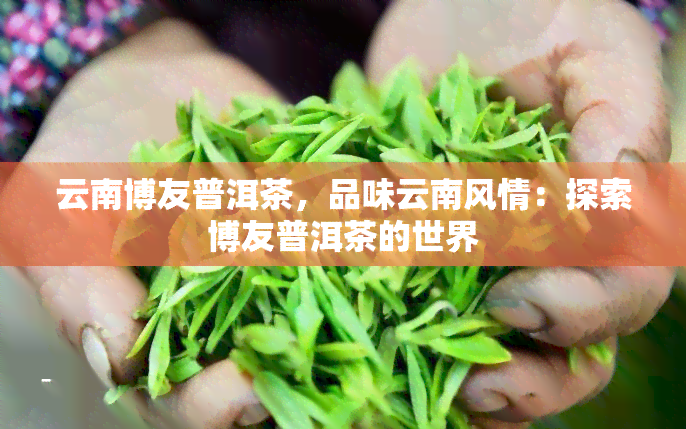 云南博友普洱茶，品味云南风情：探索博友普洱茶的世界