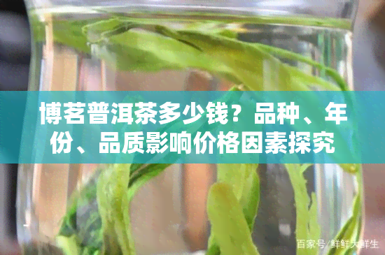 博茗普洱茶多少钱？品种、年份、品质影响价格因素探究