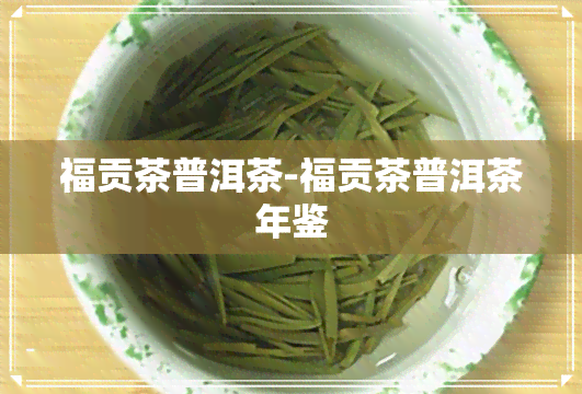 福贡茶普洱茶-福贡茶普洱茶年鉴