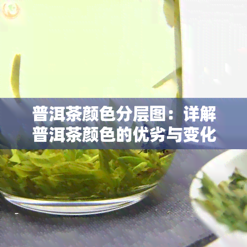 普洱茶颜色分层图：详解普洱茶颜色的优劣与变化