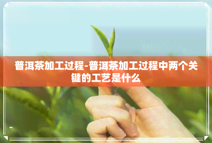 普洱茶加工过程-普洱茶加工过程中两个关键的工艺是什么