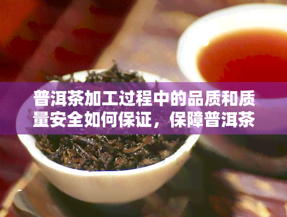 普洱茶加工过程中的品质和质量安全如何保证，保障普洱茶加工过程中的品质与安全，我们该怎么做？