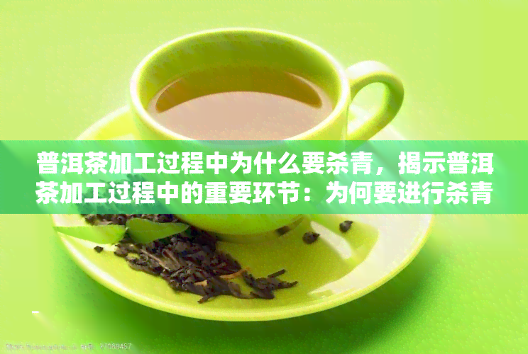 普洱茶加工过程中为什么要杀青，揭示普洱茶加工过程中的重要环节：为何要进行杀青？