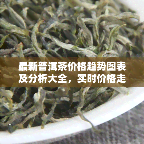 最新普洱茶价格趋势图表及分析大全，实时价格走势一览