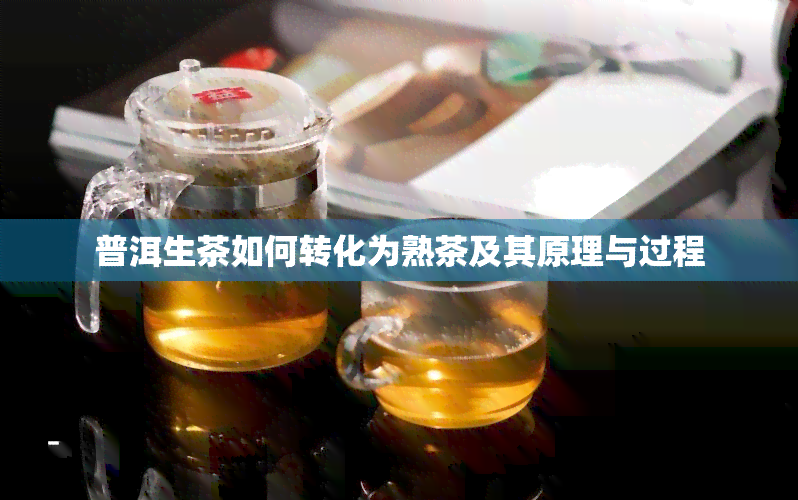 普洱生茶如何转化为熟茶及其原理与过程