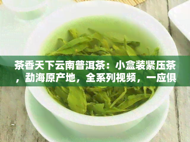 茶香天下云南普洱茶：小盒装紧压茶，勐海原产地，全系列视频，一应俱全