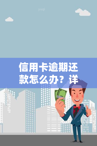 信用卡逾期还款怎么办？详解期还款流程及注意事