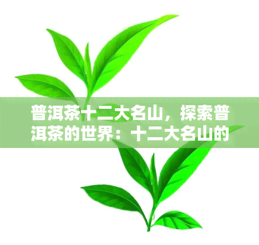 普洱茶十二大名山，探索普洱茶的世界：十二大名山的魅力与独特性