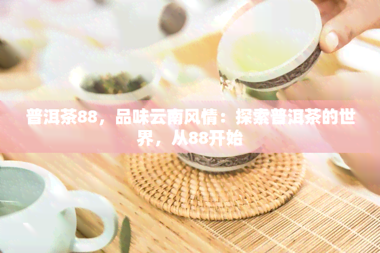 普洱茶88，品味云南风情：探索普洱茶的世界，从88开始