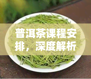 普洱茶课程安排，深度解析：普洱茶课程安排，让你成为品鉴专家