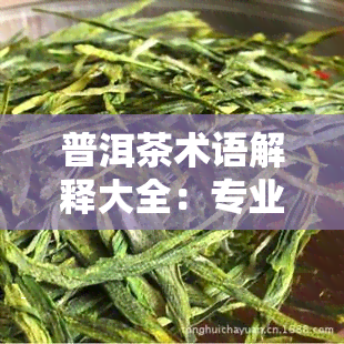 普洱茶术语解释大全：专业品茶必备