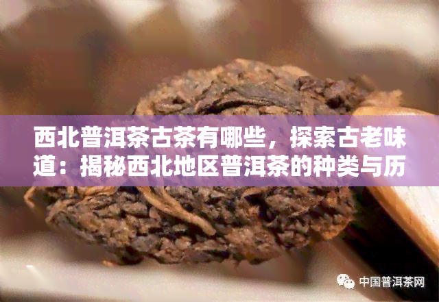 西北普洱茶古茶有哪些，探索古老味道：揭秘西北地区普洱茶的种类与历文化