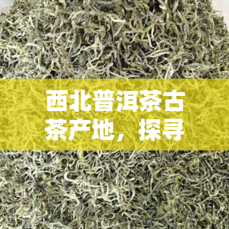 西北普洱茶古茶产地，探寻中国西北的普洱茶古茶产地