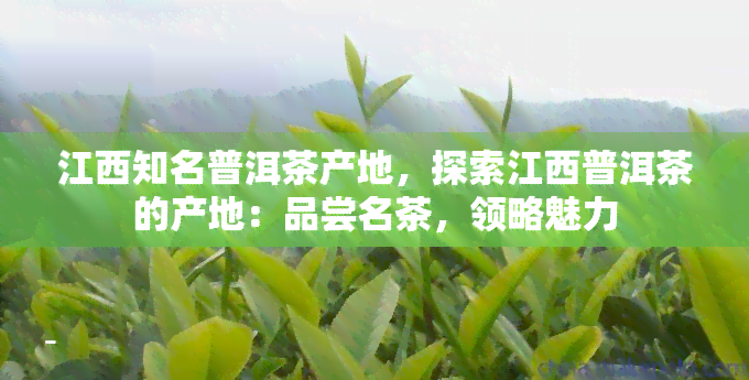 江西知名普洱茶产地，探索江西普洱茶的产地：品尝名茶，领略魅力