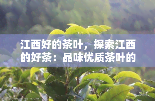 江西好的茶叶，探索江西的好茶：品味优质茶叶的无穷魅力