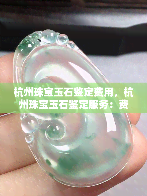 杭州珠宝玉石鉴定费用，杭州珠宝玉石鉴定服务：费用全览与详解