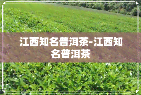 江西知名普洱茶-江西知名普洱茶