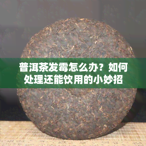 普洱茶发霉怎么办？如何处理还能饮用的小妙招