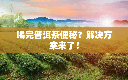 喝完普洱茶便秘？解决方案来了！