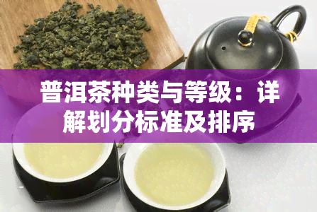 普洱茶种类与等级：详解划分标准及排序