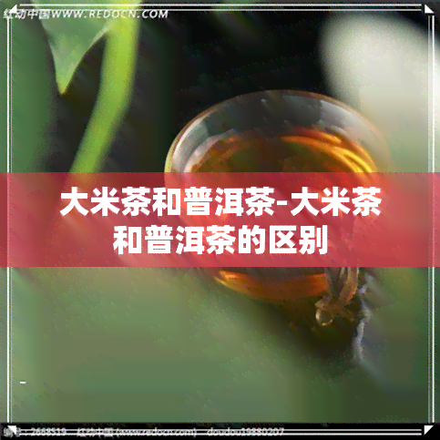 大米茶和普洱茶-大米茶和普洱茶的区别