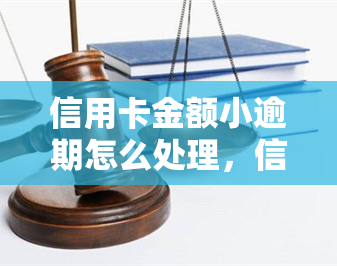 信用卡金额小逾期怎么处理，信用卡小额逾期处理攻略：正确应对避免不良影响