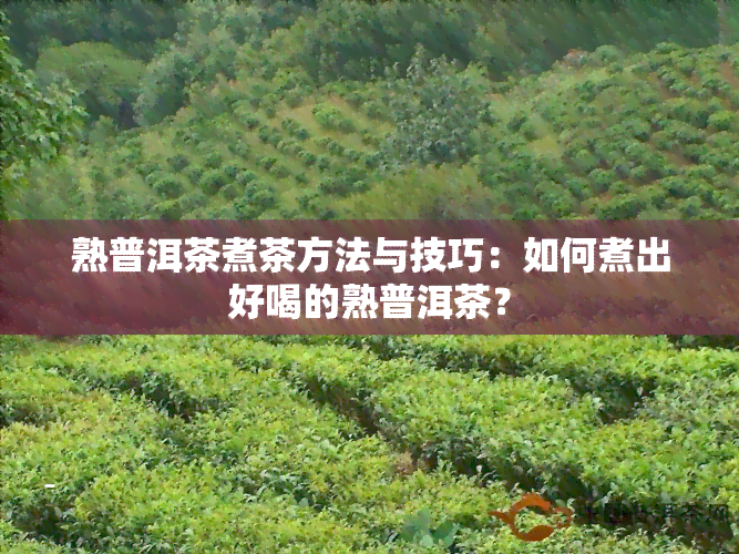 熟普洱茶煮茶方法与技巧：如何煮出好喝的熟普洱茶？